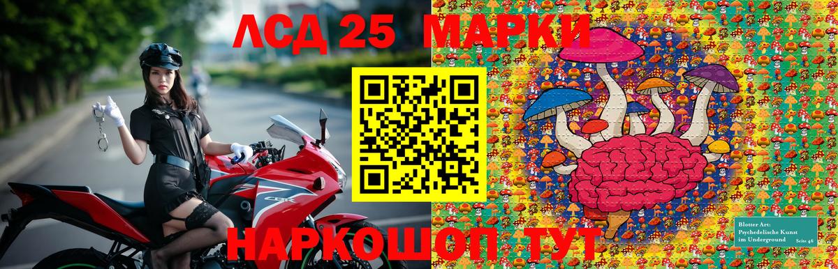 дарнет шоп  Вход с VPN  Марки N-bome  Клин  Марки NBOMe 1500мкг 