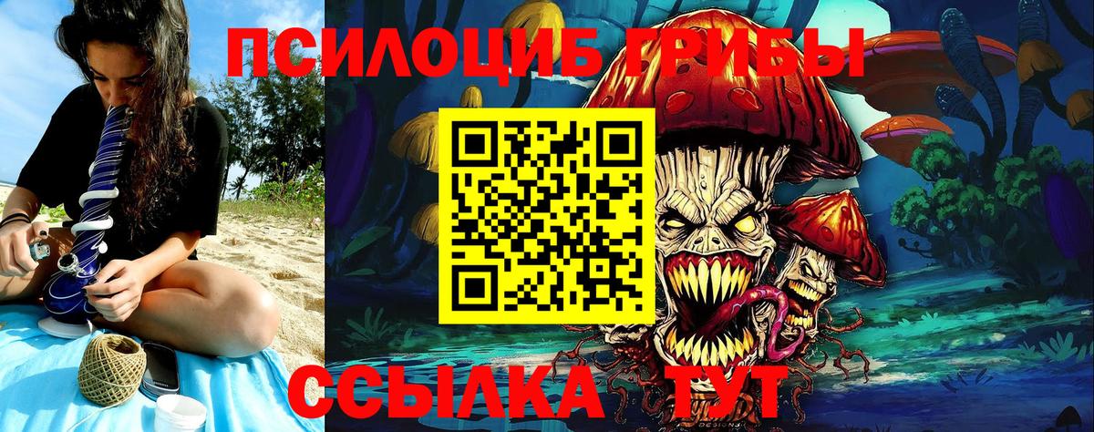 Псилоцибиновые грибы Cubensis Клин