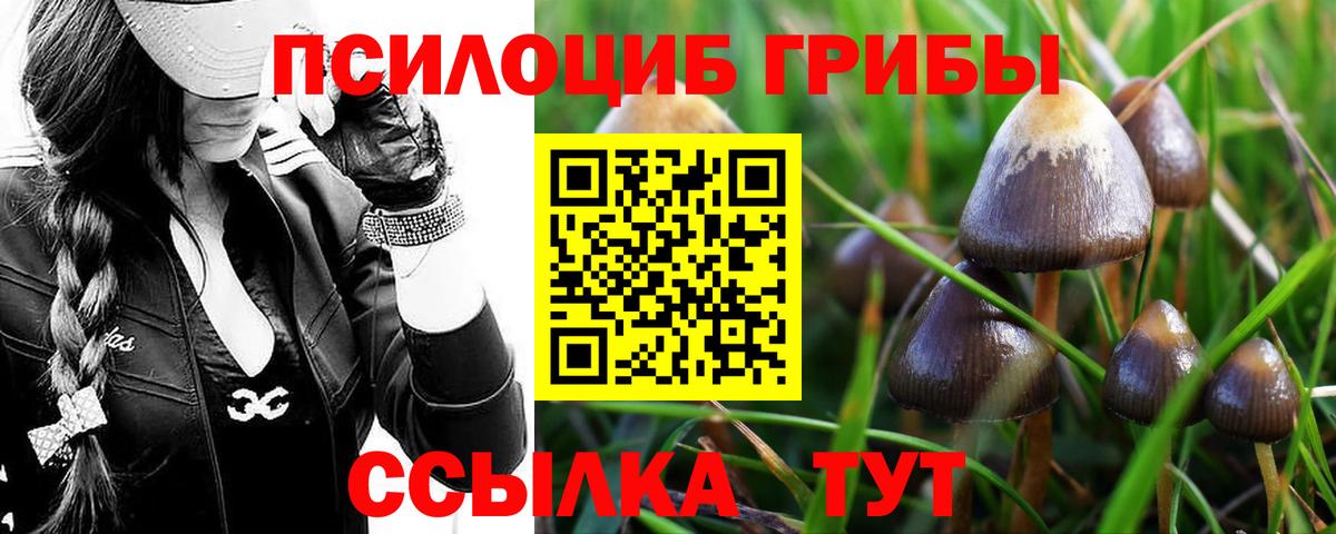 Клин  Галлюциногенные грибы мухоморы  Вход с VPN 